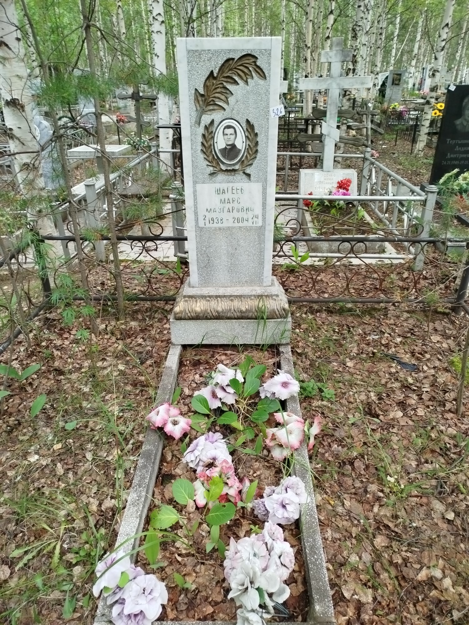 Шагеев Марс Мазгарович