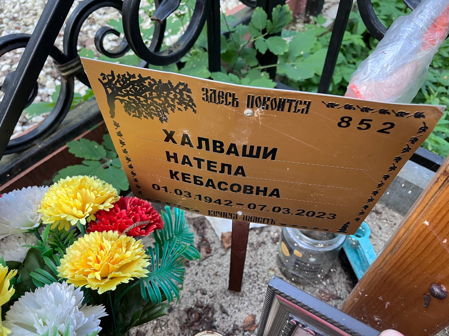 Натела Халваши Кебасовна