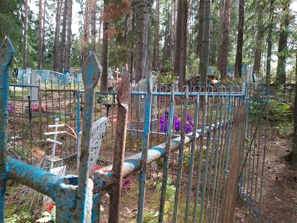 Балаева Евдокия Родионовна