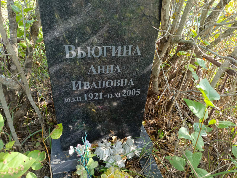 Вьюгина