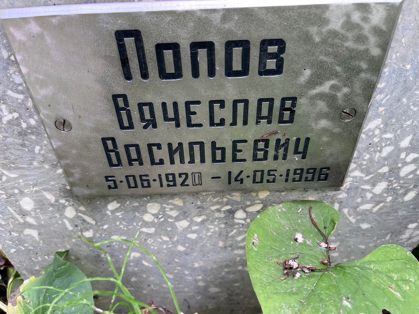 Попов