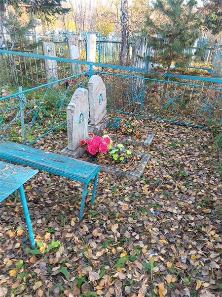 Амелин Анатолий Петрович