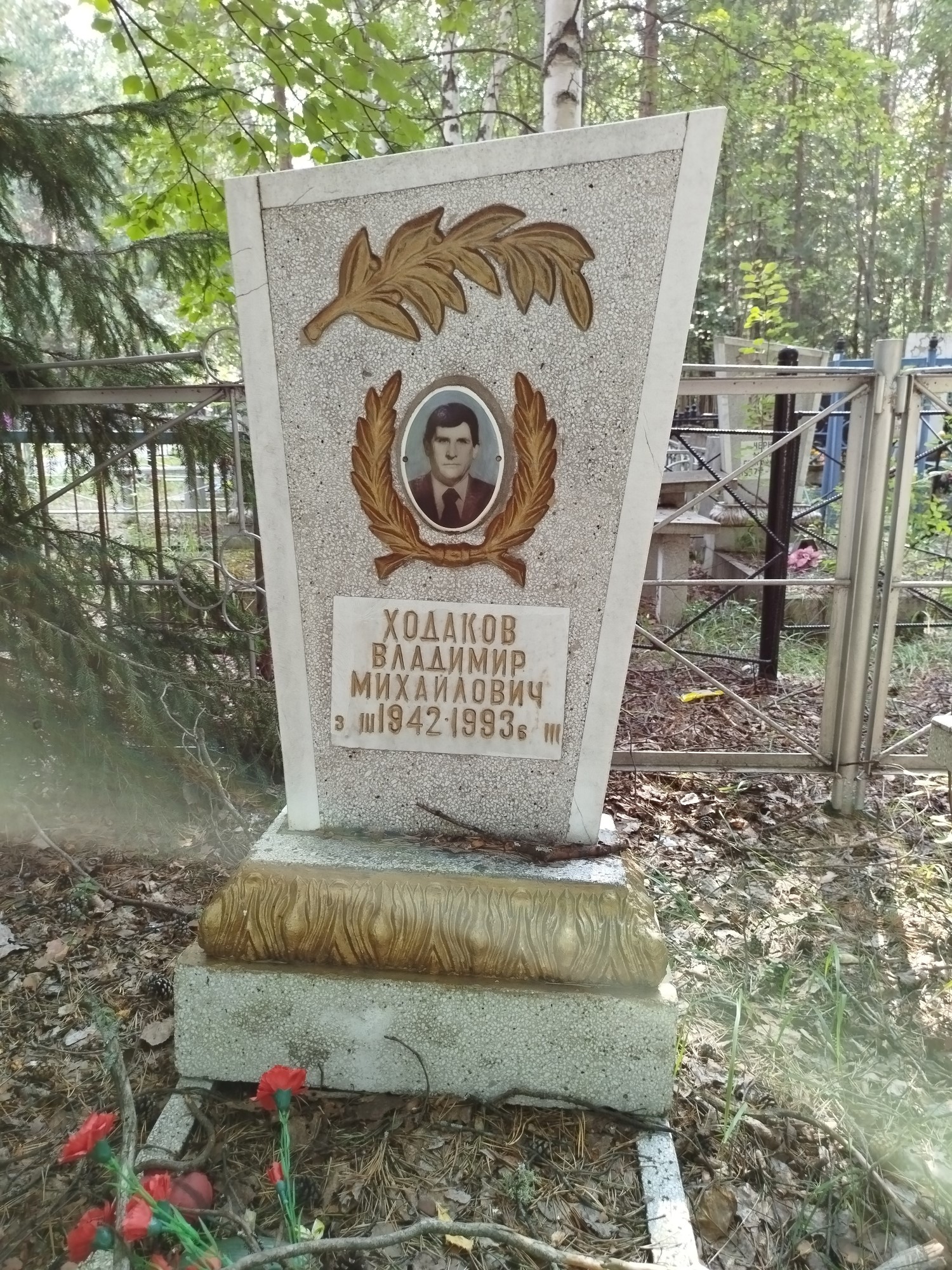 Ходаков Владимир Михайлович