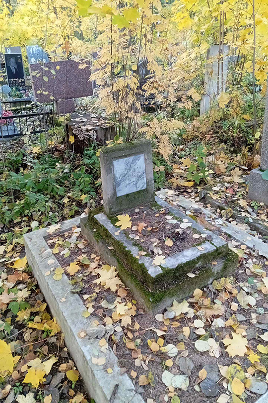 Голубев Илья Александрович