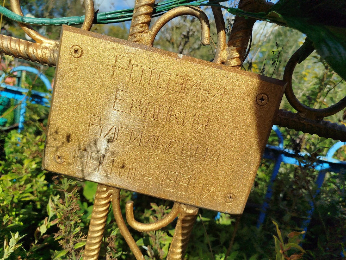 Ротозина