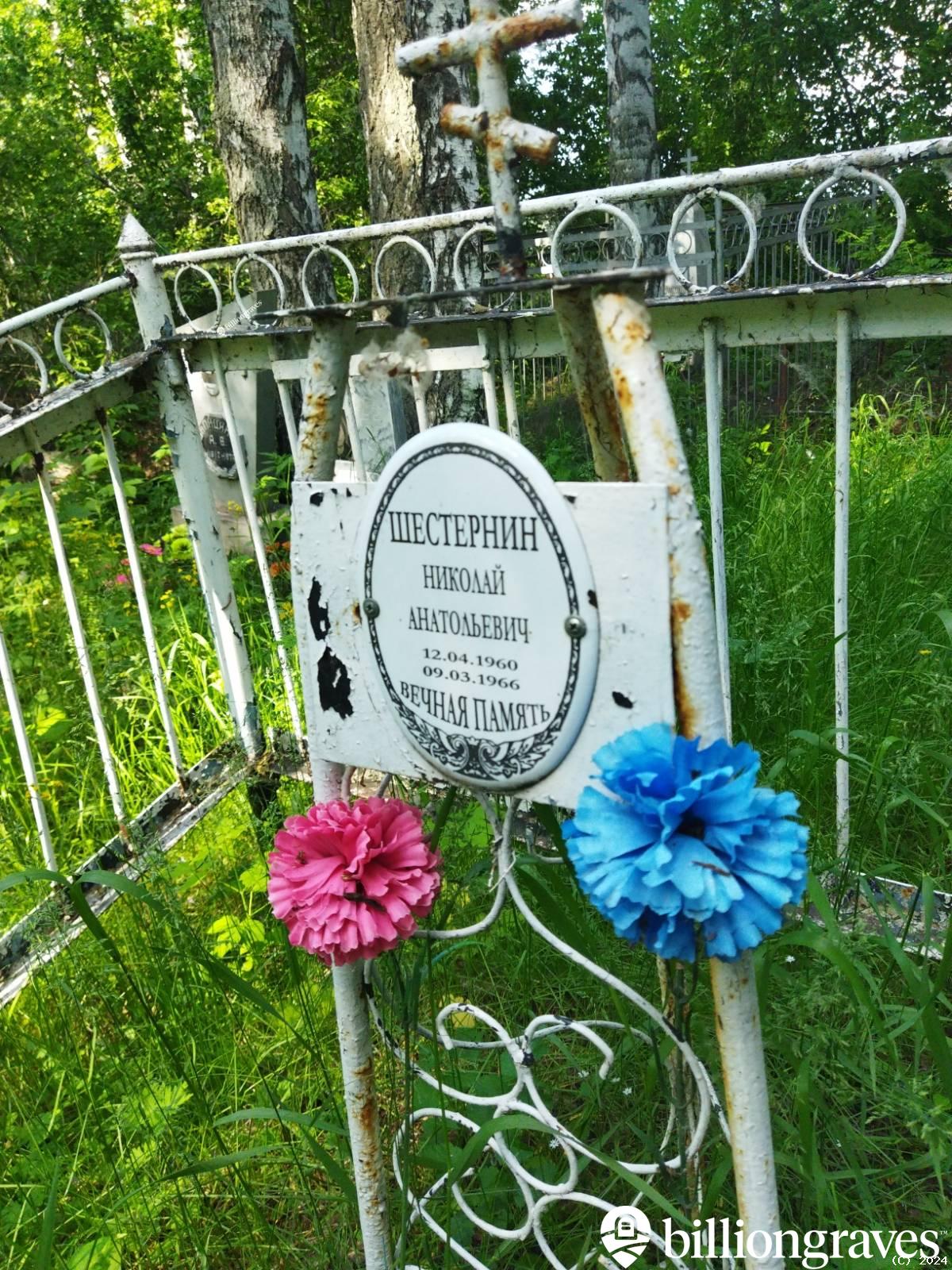 Шестернин Николай Анатольевич
