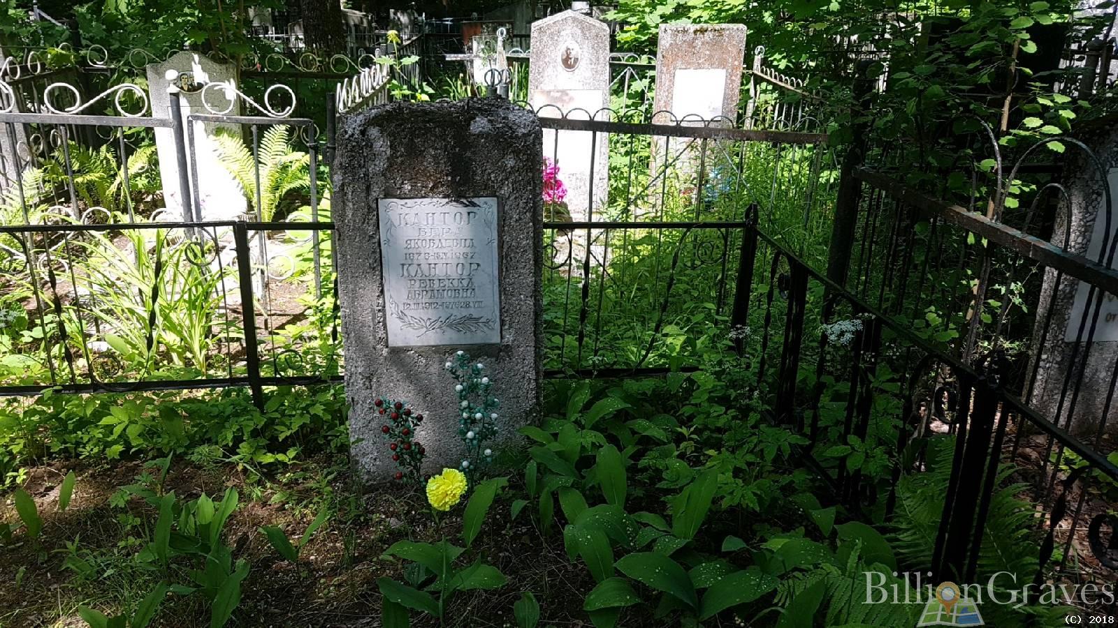Кантор Вера Яковлевна