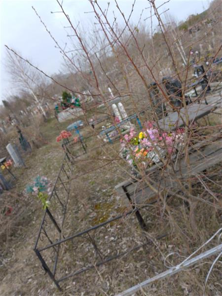 Кузина Елизавета Филипповна