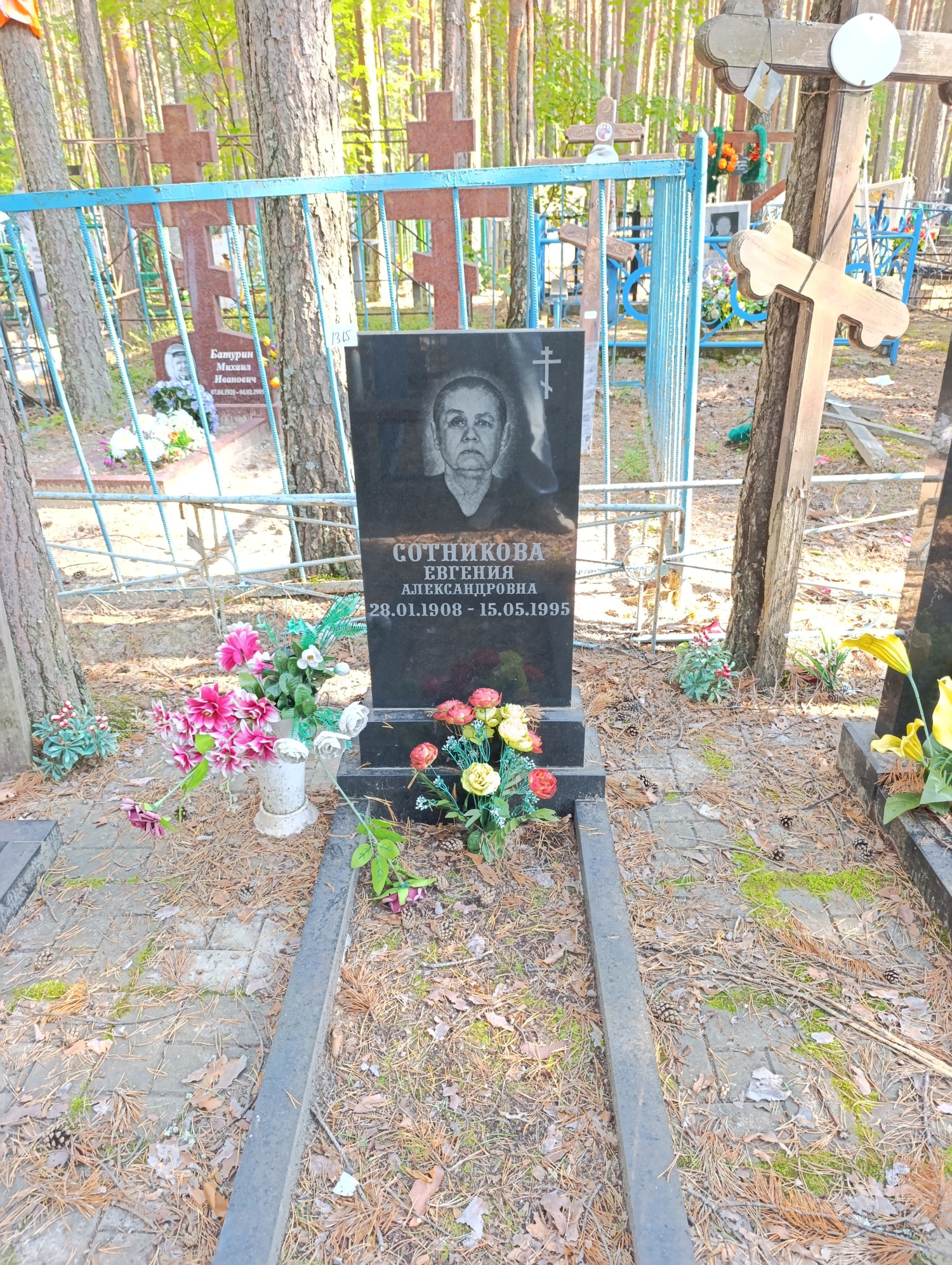 Сотникова Евгения Александровна