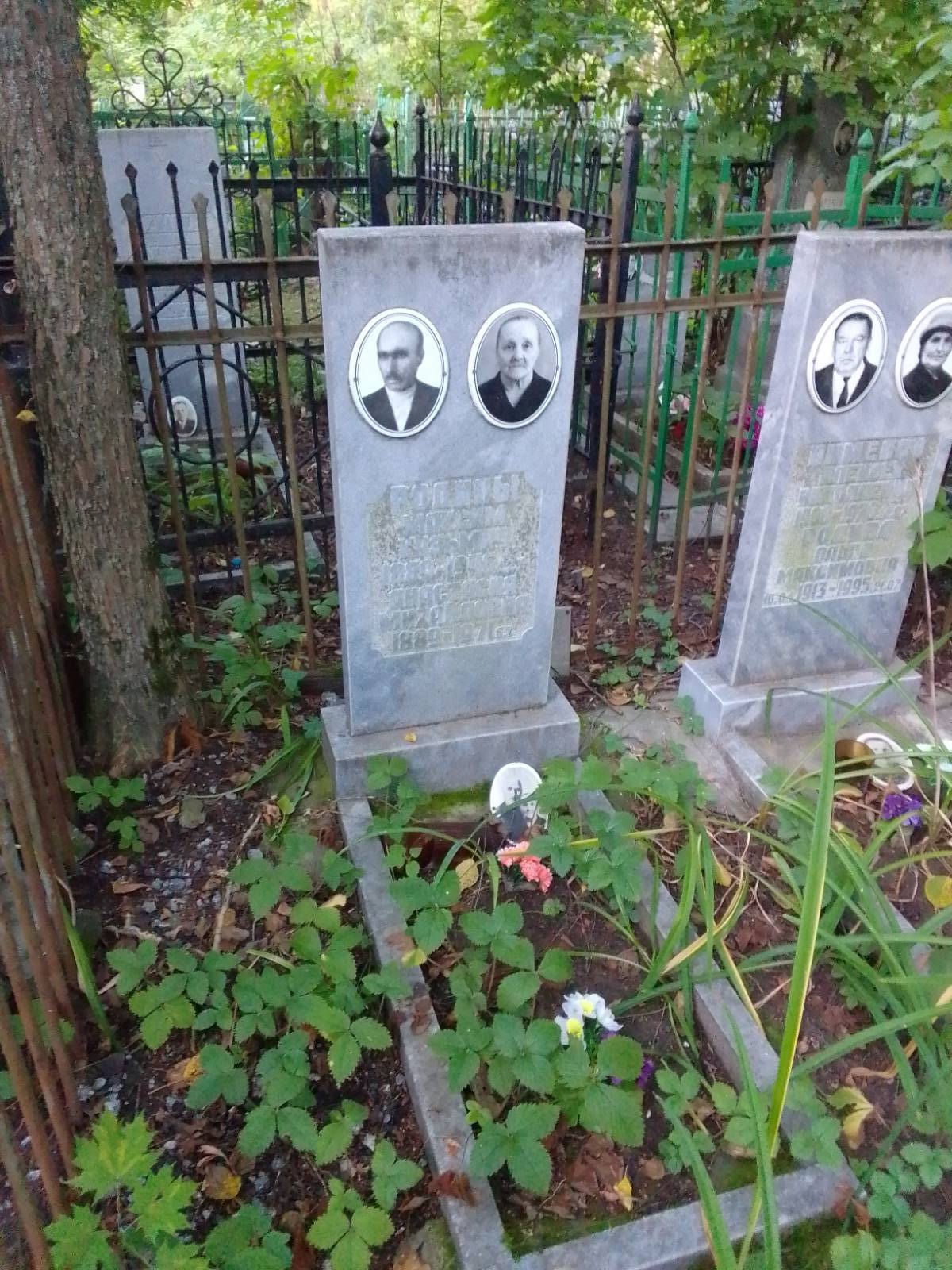 Родина Ольга Максимовна