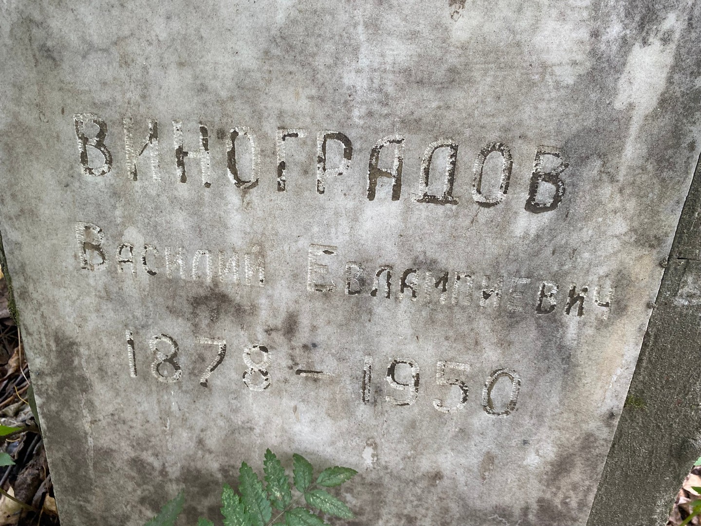 Виноградов
