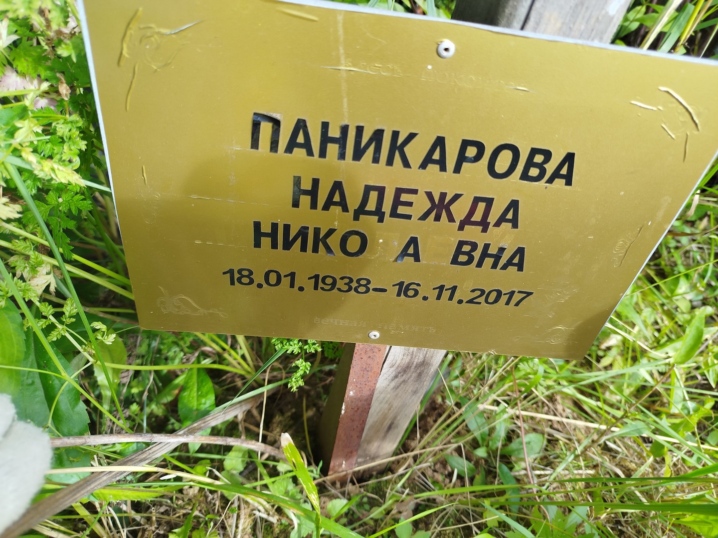 Паникарова