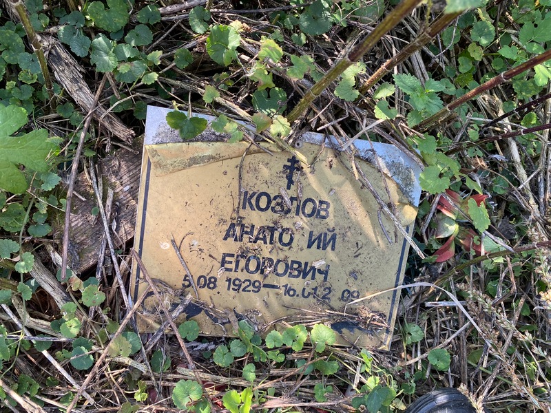 Козлов