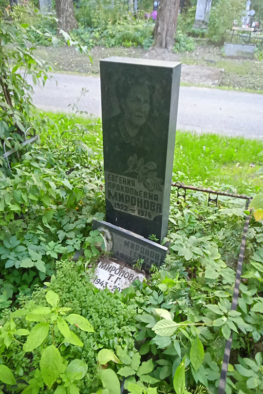Миронова Т. Г.