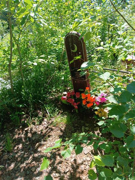 Сайдулина Светлана Салиховна