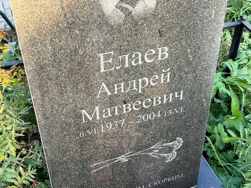 Елаев