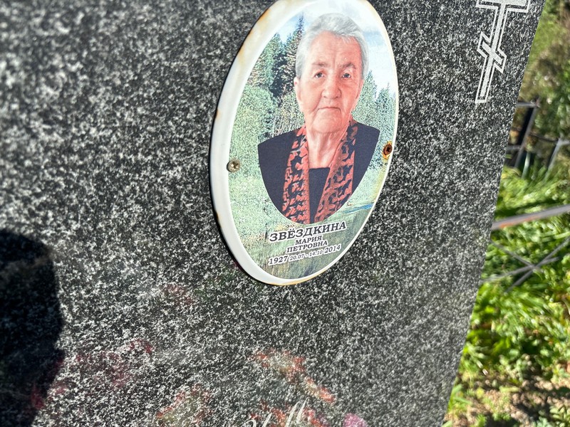 Звездкина