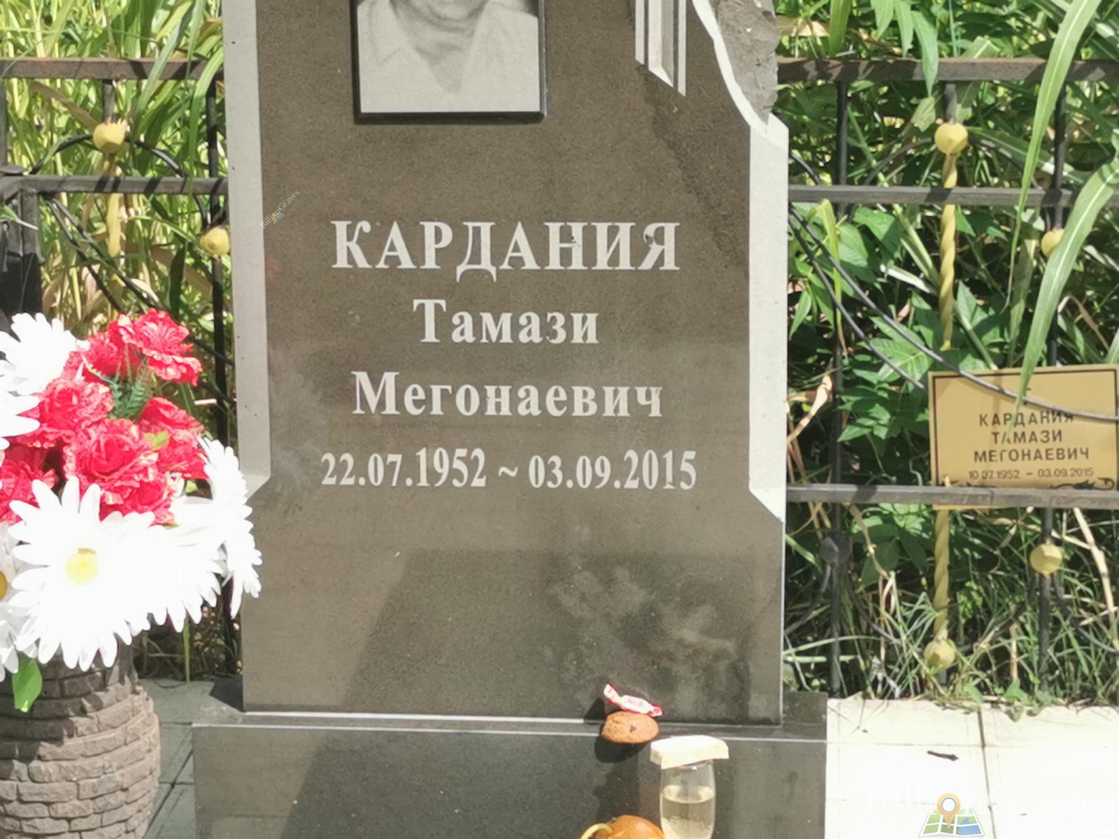 Кардания Тамази Мегонаевич
