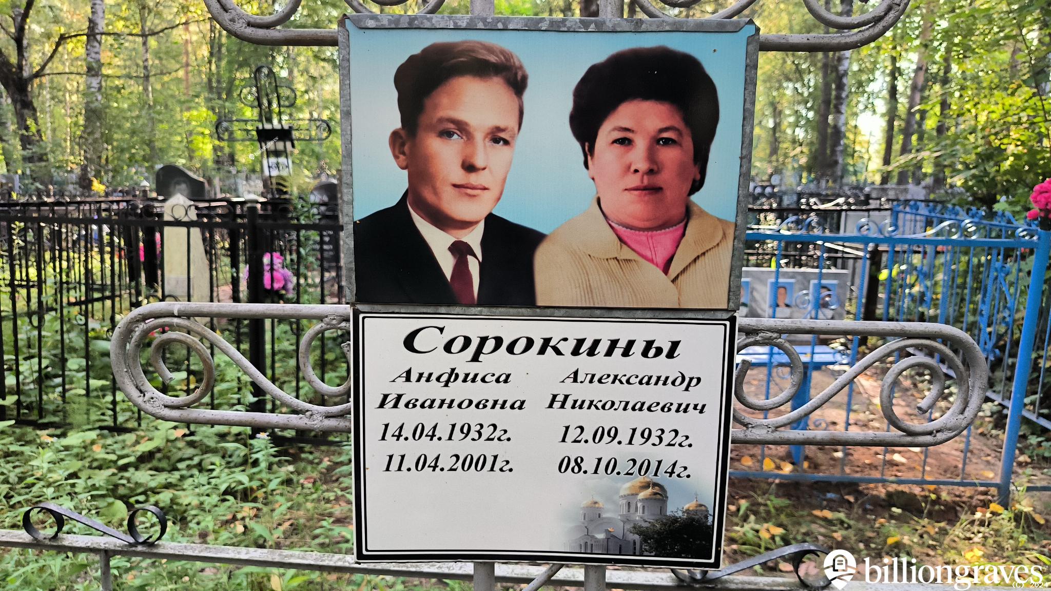 Сорокина Анфиса Ивановна