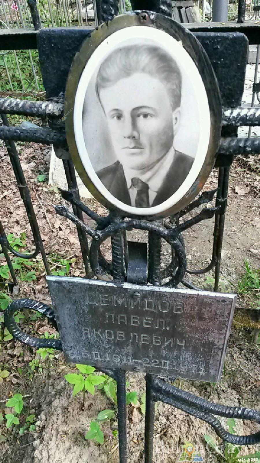 демидов павел яковлевич