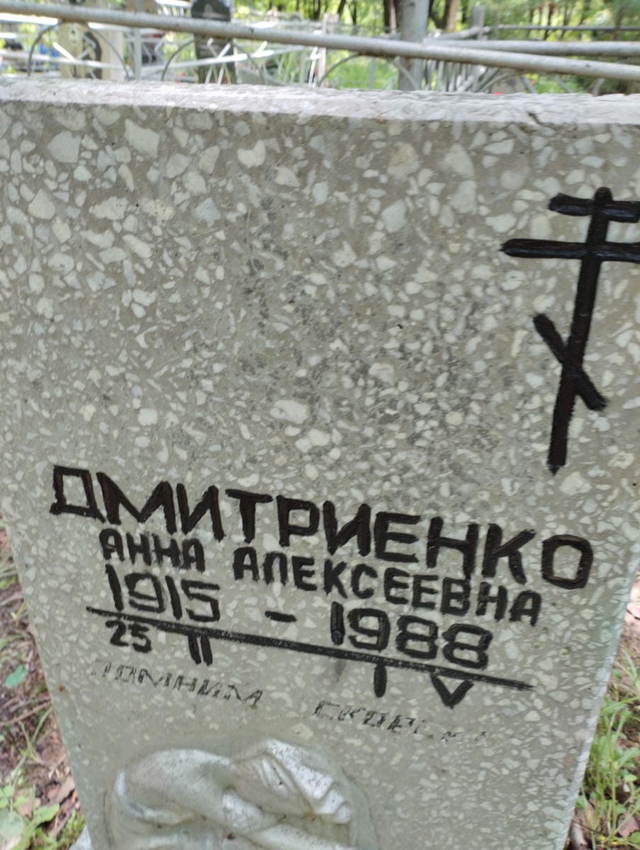 Дмитриенко Анна Алексеевна