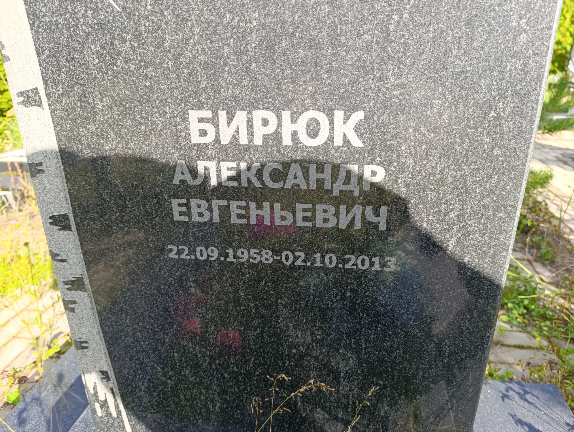 Бирюк Александр Евгеньевич