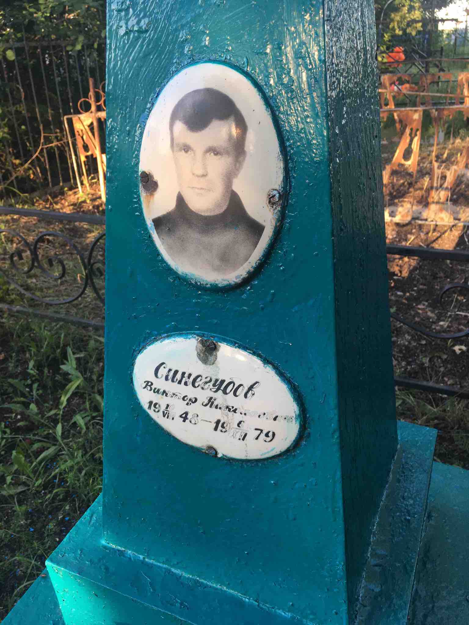 Синегубов Виктор Николаевич