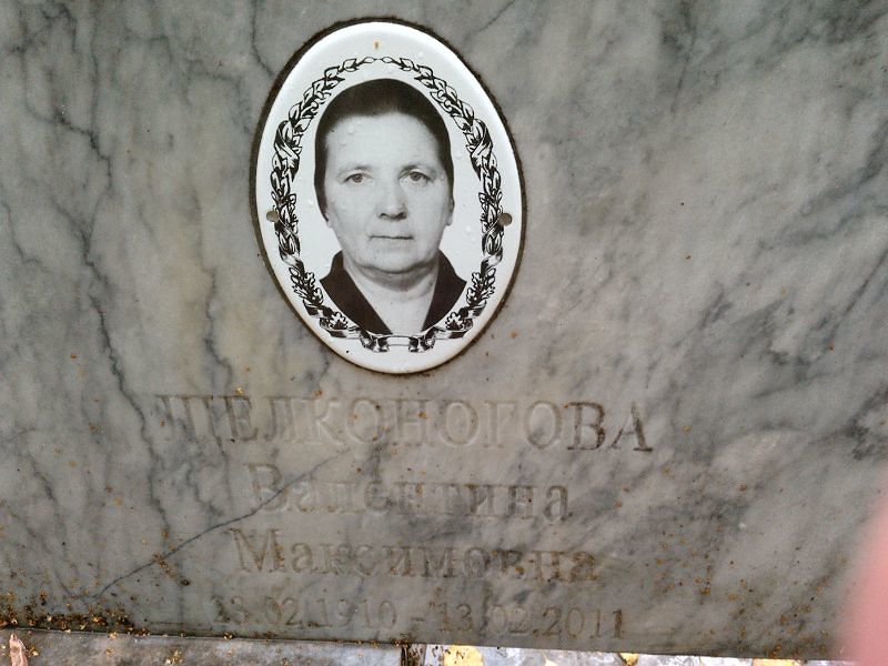 Шелконогова