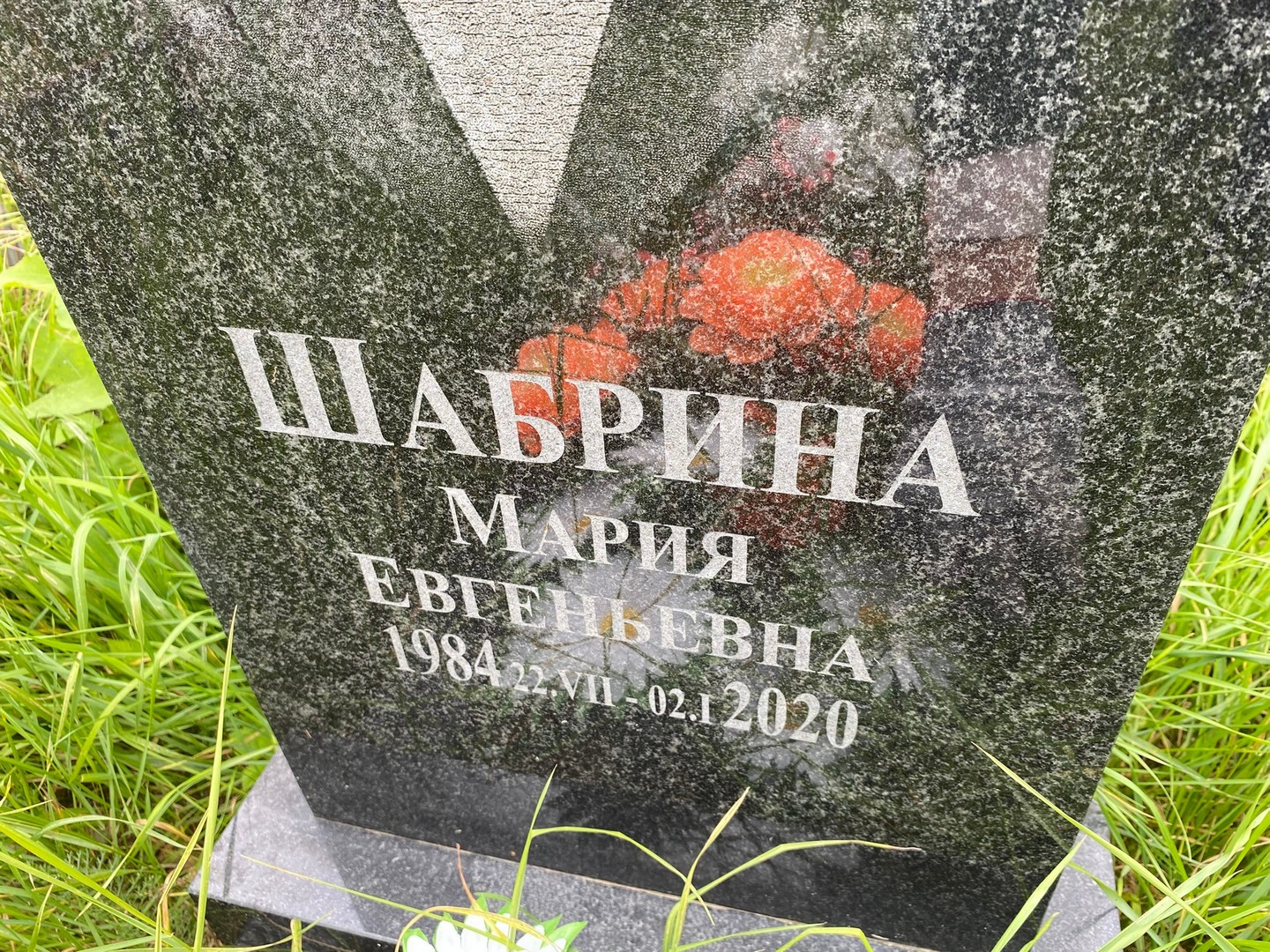 Шабрина