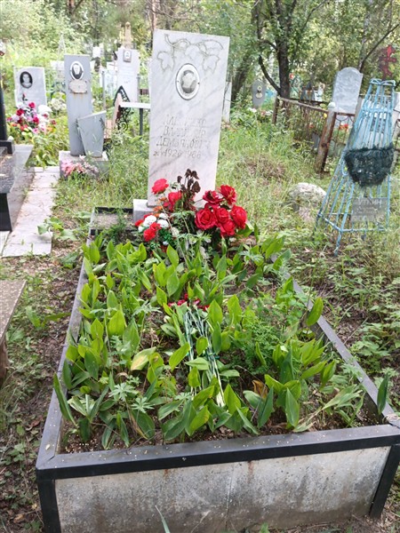 Аленишко Владимир Демьянович