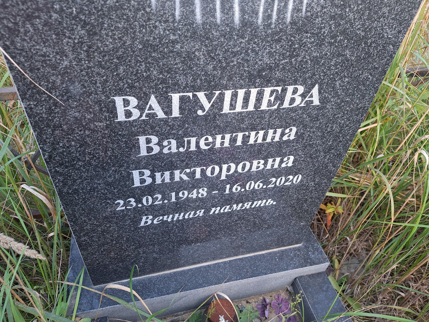 Вагушева