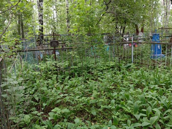 Сергун Анна Иосифовна