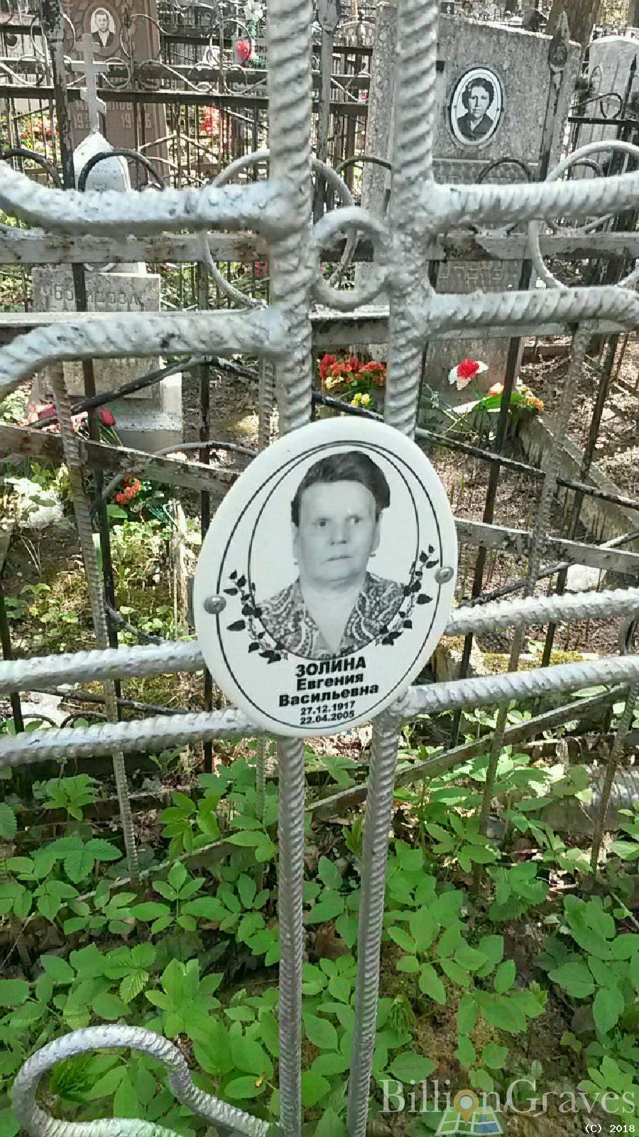 Золина Евгения Васильевна
