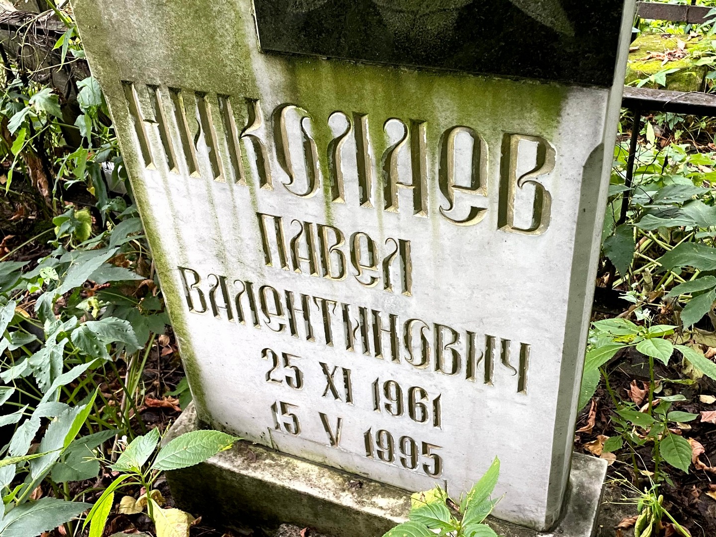 Николаев