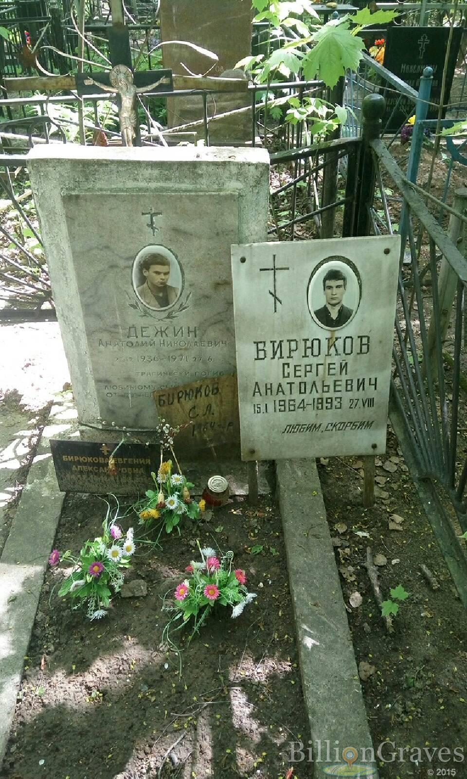 дежин анатолий николаевич