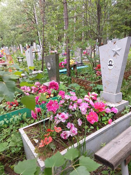 Стрелов Александр Викторович