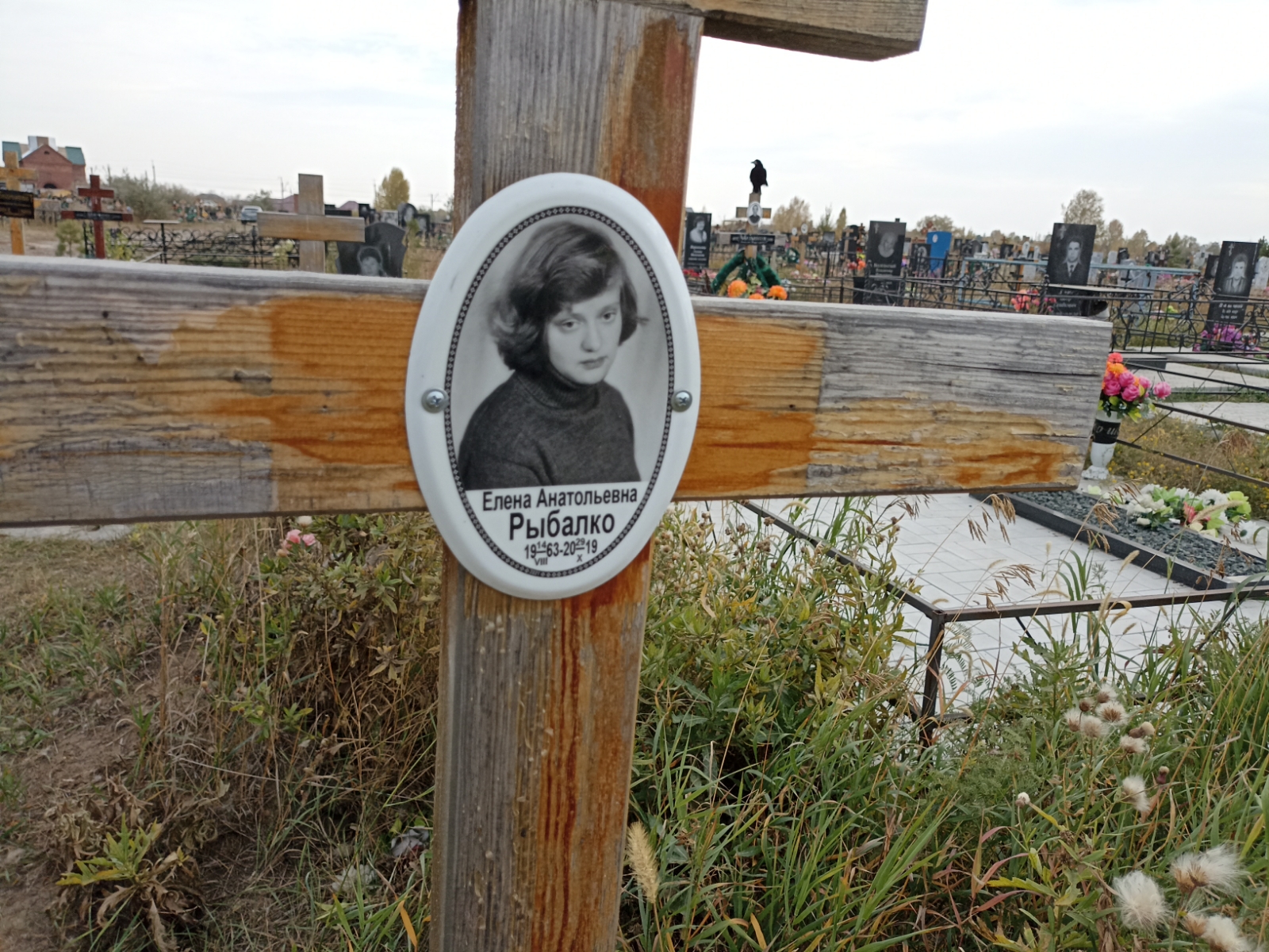 Рыбалко Елена Анатольевна
