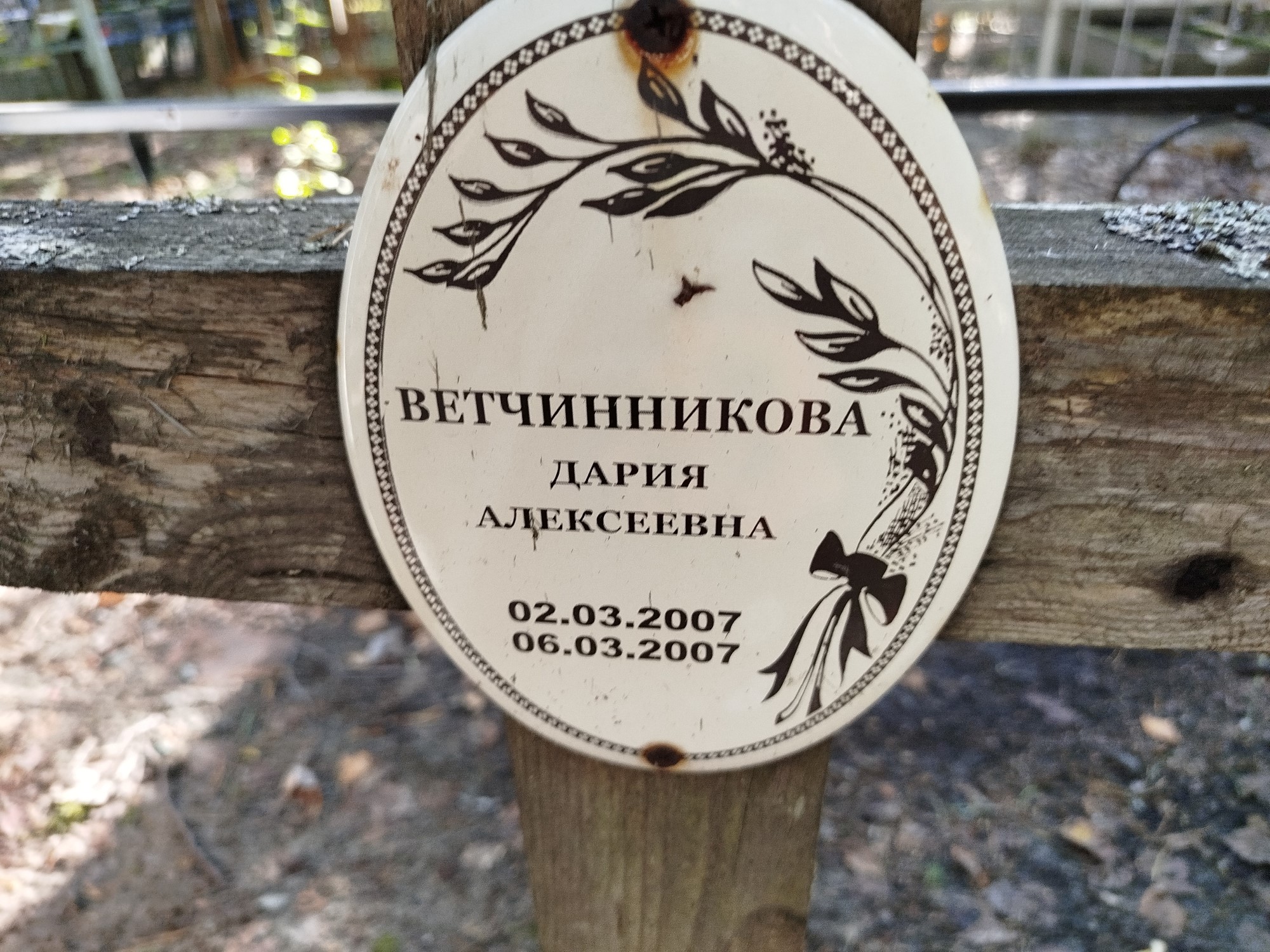 Ветчинникова Дария Алексеевна