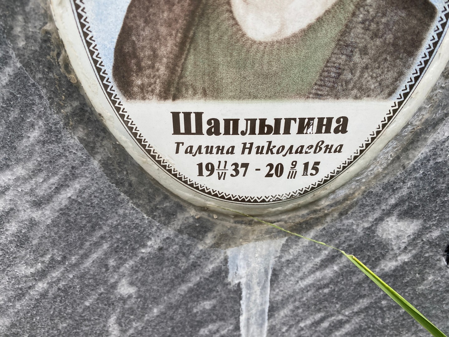 Шаплыгина