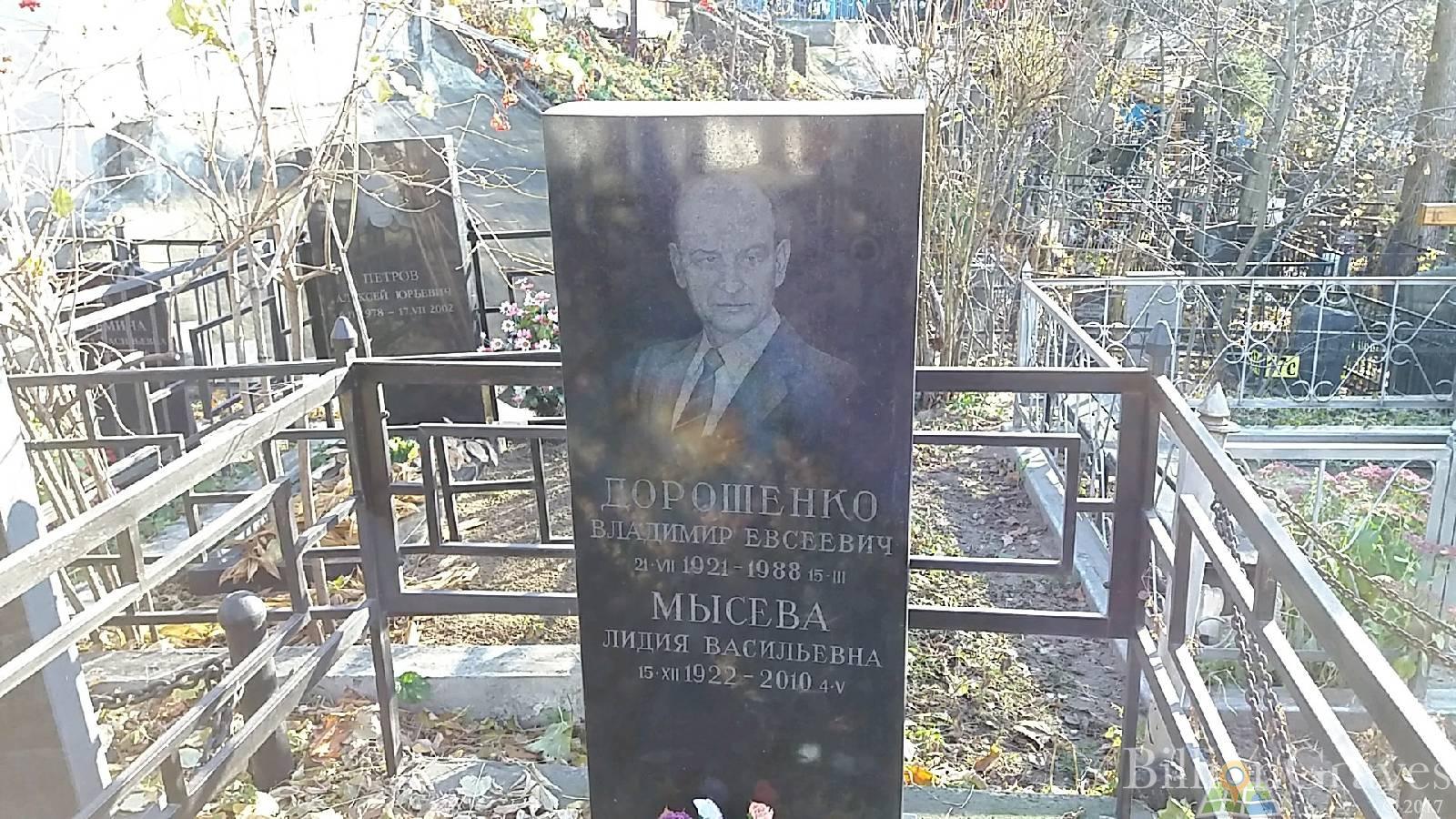 Дорошенко Владимир Евсеевич