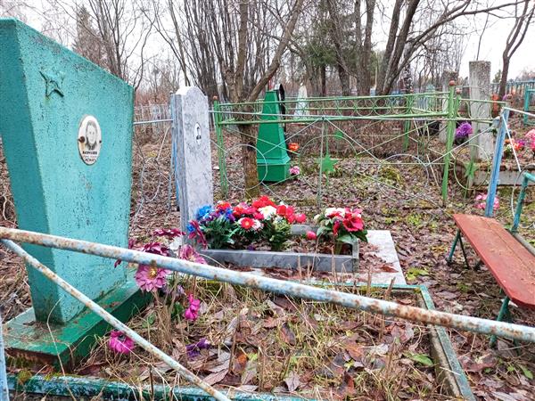 Береснев Лев Александрович