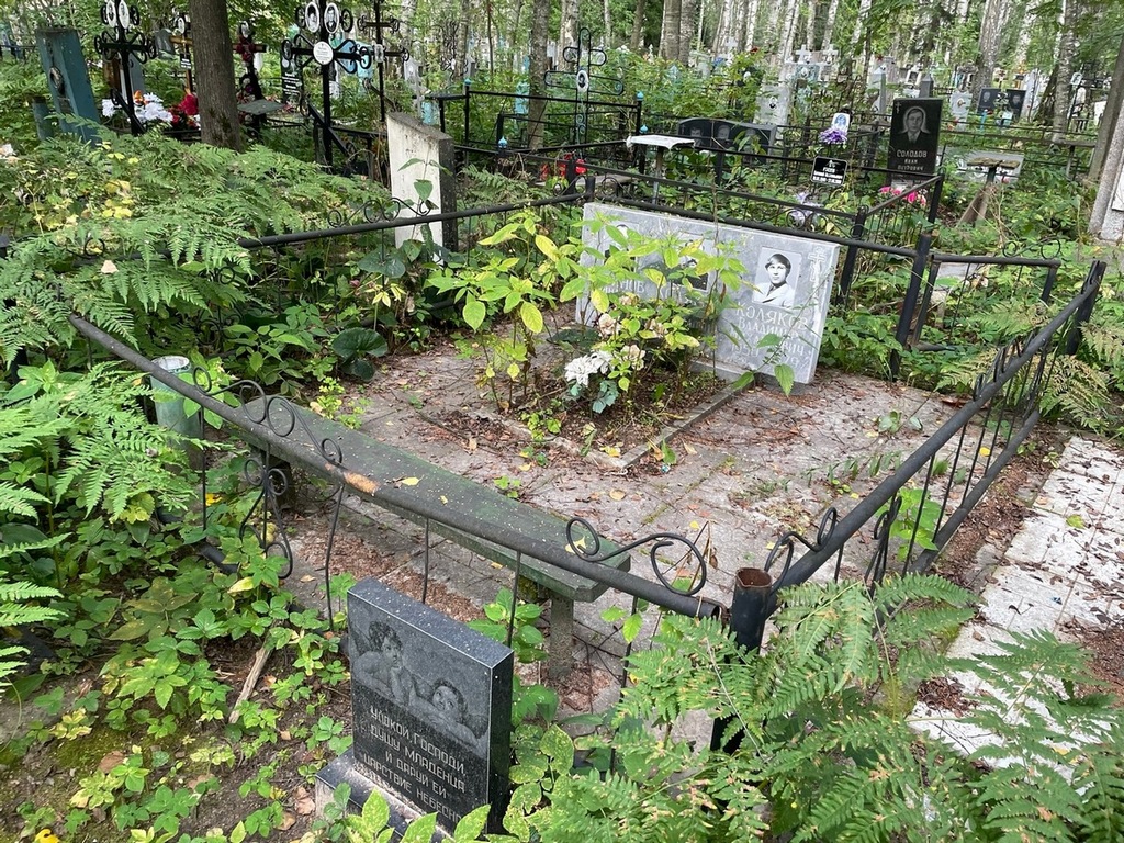Коляков Александр Михайлович