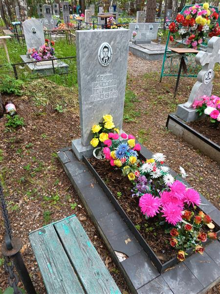 Левин Вячеслав Петрович