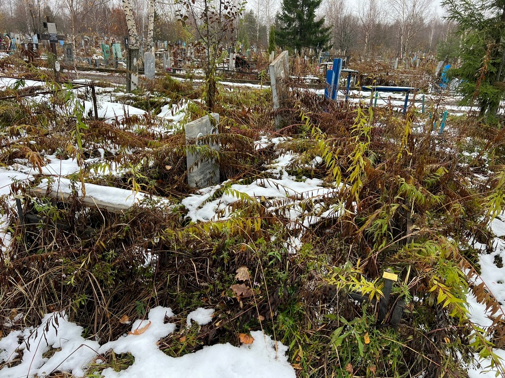 Молева Мария Алексеевна