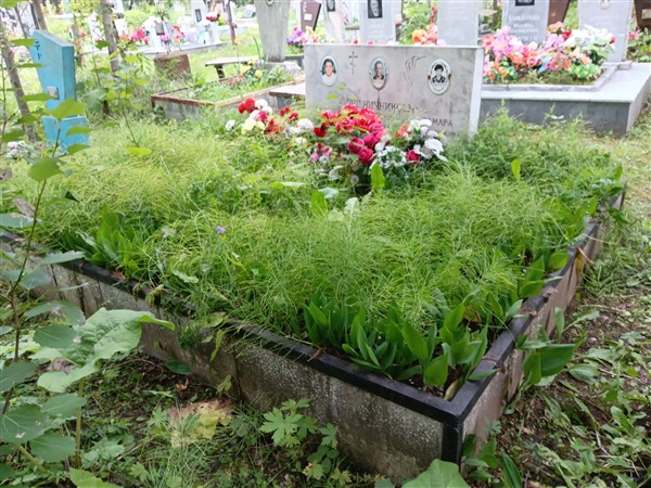 Пшеничников Владимир Петрович