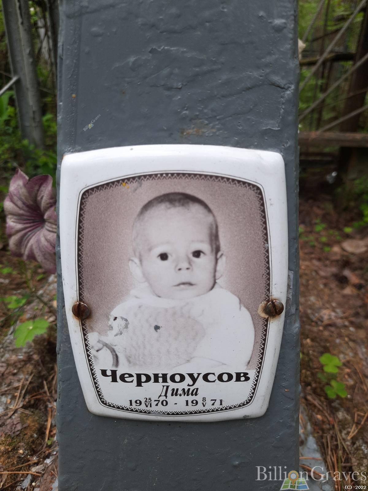 Черноусов Дмитрий