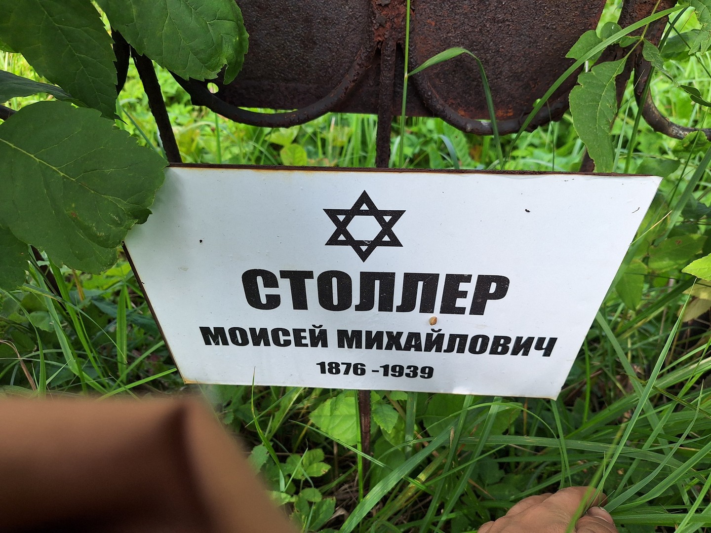 Моисей Столлер Михайлович