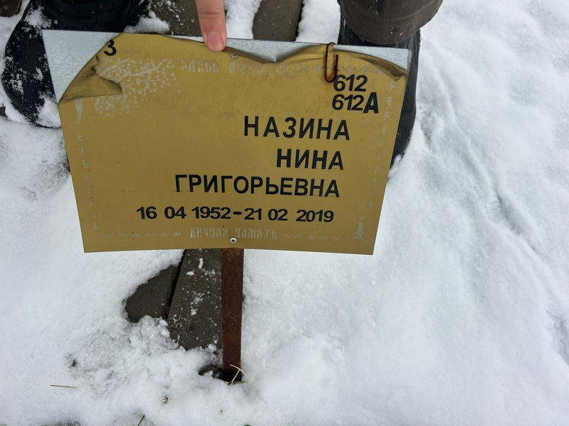 Назина