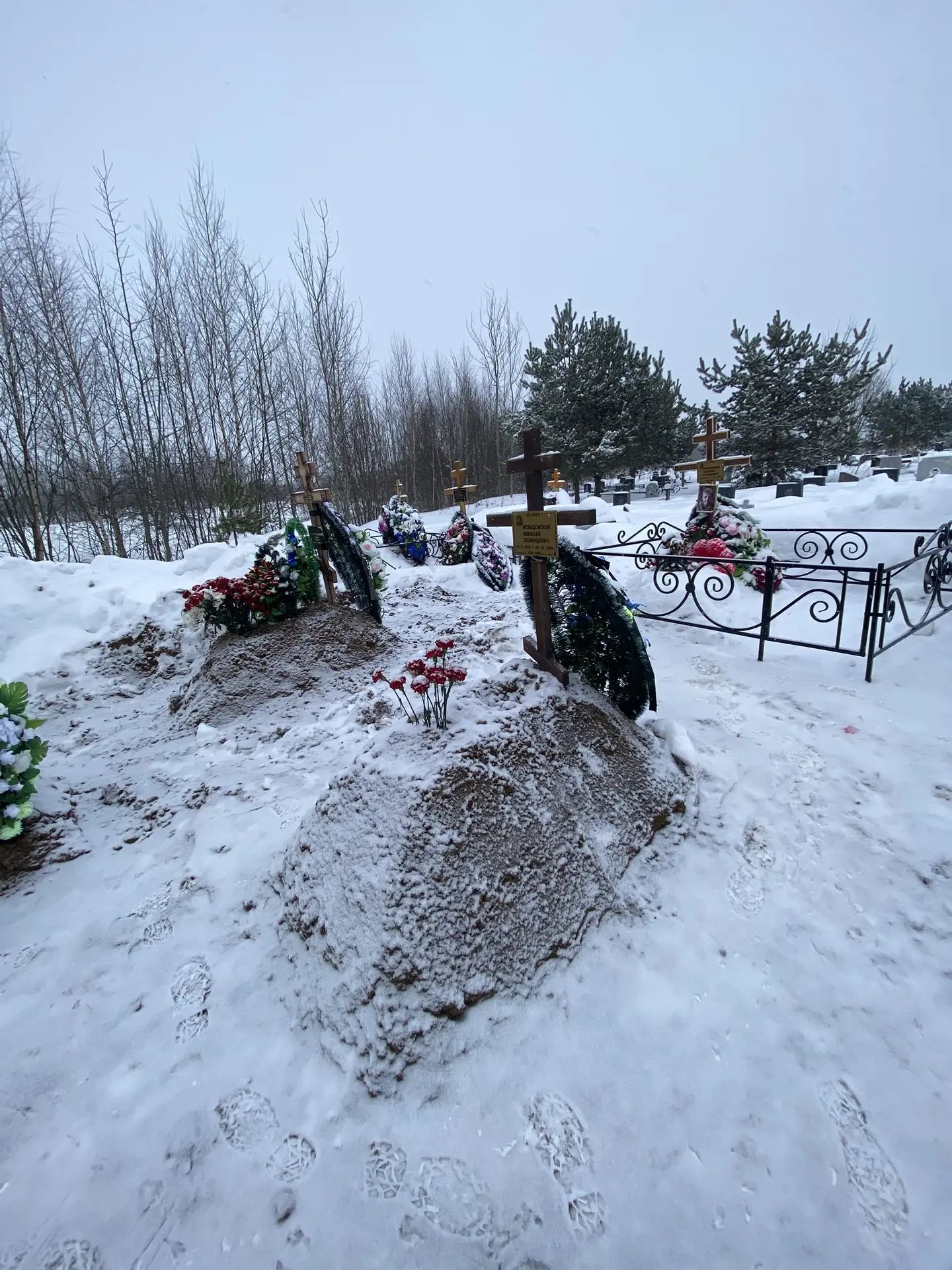 Невидонский