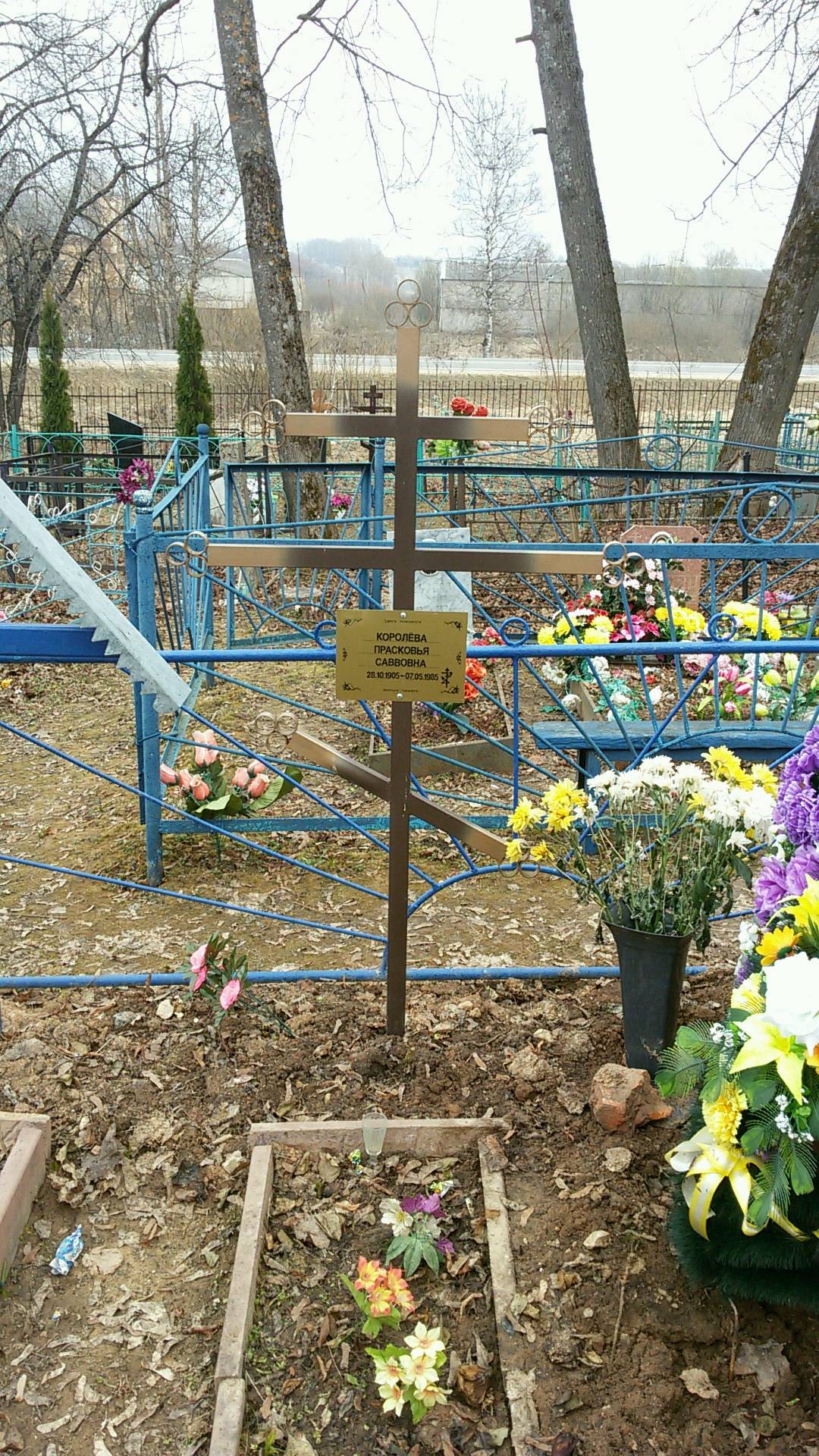 Королёва Прасковья Саввовна